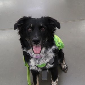 Meet your Posher, Ttabitha